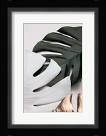 Monstera Colors 1 Fine Art Print