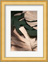 Monstera Mix 1 Fine Art Print