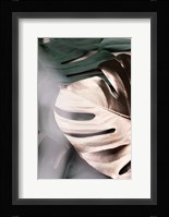 Monstera Mix 3 Fine Art Print