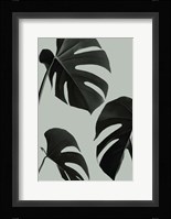 Monstera Teal 5 Fine Art Print