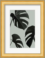 Monstera Teal 5 Fine Art Print