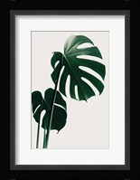 Monstera Natural 16 Fine Art Print