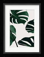 Monstera Natural 2 Fine Art Print