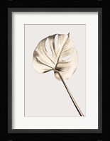 Monstera Gold 5 Fine Art Print