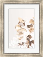 Eucalyptus Creative Gold 1 Fine Art Print