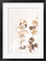 Eucalyptus Creative Gold 1 Fine Art Print