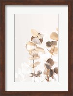 Eucalyptus Creative Gold 1 Fine Art Print