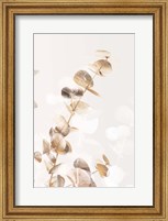 Eucalyptus Creative Gold 2 Fine Art Print