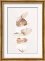 Eucalyptus Creative Gold 4 Fine Art Print