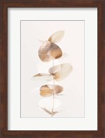 Eucalyptus Creative Gold 4 Fine Art Print