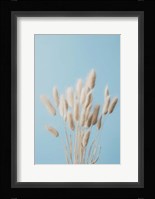 Bunny Grass No 3 Fine Art Print