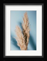 Pampas Grass Blue Fine Art Print