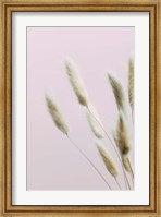 Bunny Grass Pink 2 Fine Art Print