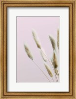 Bunny Grass Pink 2 Fine Art Print