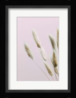 Bunny Grass Pink 2 Fine Art Print