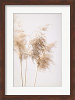 Reed Grass Grey 9 Fine Art Print