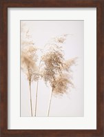 Reed Grass Grey 9 Fine Art Print