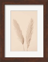 Pampas Grass Beige 1 Fine Art Print