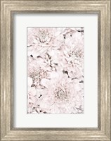Chrysanthemum No 7 Fine Art Print