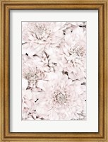 Chrysanthemum No 7 Fine Art Print