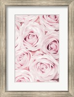 Pink Roses No 2 Fine Art Print