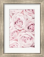Pink Roses No 2 Fine Art Print