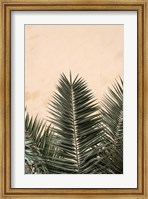 Palm Leaves And Wall 1 Fine Art Print