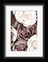 Roses Fine Art Print