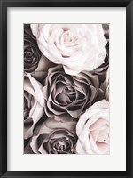 Roses 2 Fine Art Print