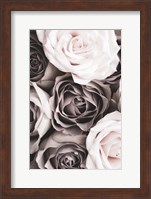 Roses 2 Fine Art Print