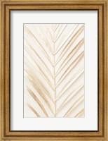 Golden Palm Leaf Fine Art Print