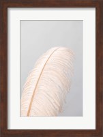Feather 1 Fine Art Print
