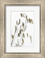 Dried Grass Natural Fine Art Print