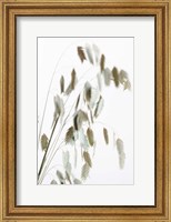Dried Grass Natural Fine Art Print