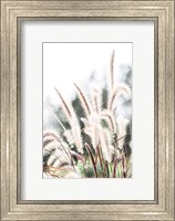 Grass Fine Art Print