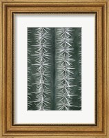 Cactus Green Fine Art Print