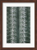 Cactus Green Fine Art Print
