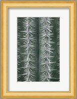 Cactus Green Fine Art Print