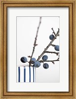 Berries Blue Fine Art Print