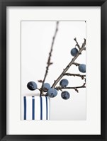 Berries Blue Fine Art Print