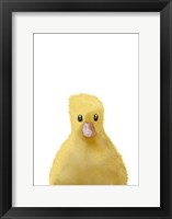 Duck Fine Art Print