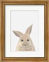 Rabbit Fine Art Print