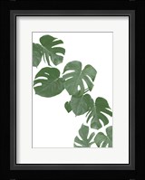 Monstera Aqua 2 Framed Print