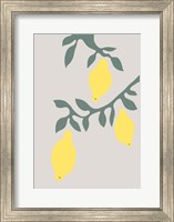 Lemons Fine Art Print