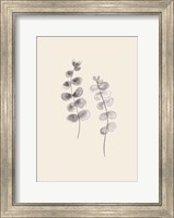 Eucalyptus Twigs Fine Art Print