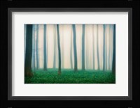 Daydreaming of Bluebells Fine Art Print