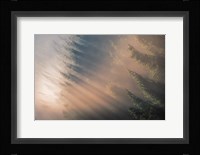 Signs of Autumn Fine Art Print