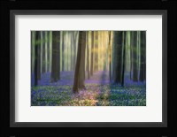 Daydreaming of Bluebells Fine Art Print