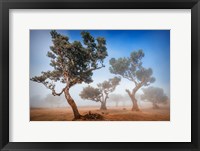 Fanal Fine Art Print