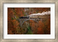 Museum Train Fine Art Print